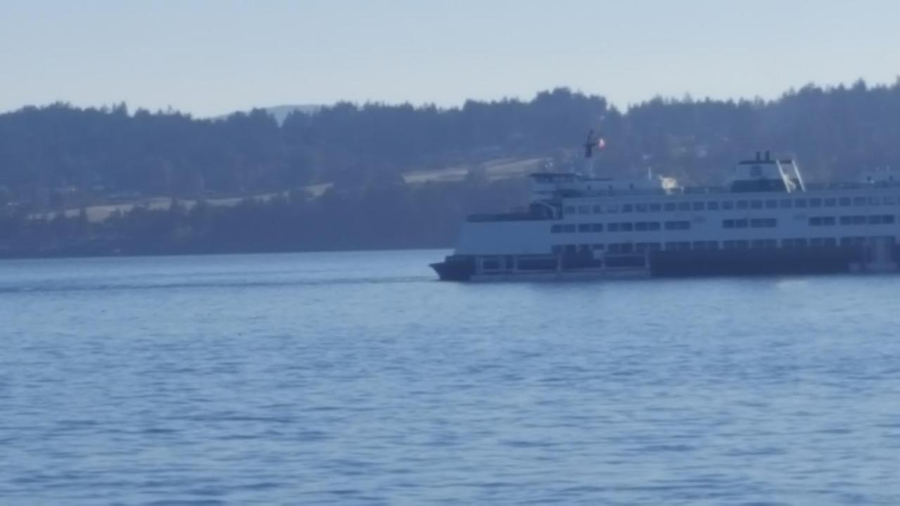 By The Sea Bnb, Sidney Victoria Bc Exterior foto